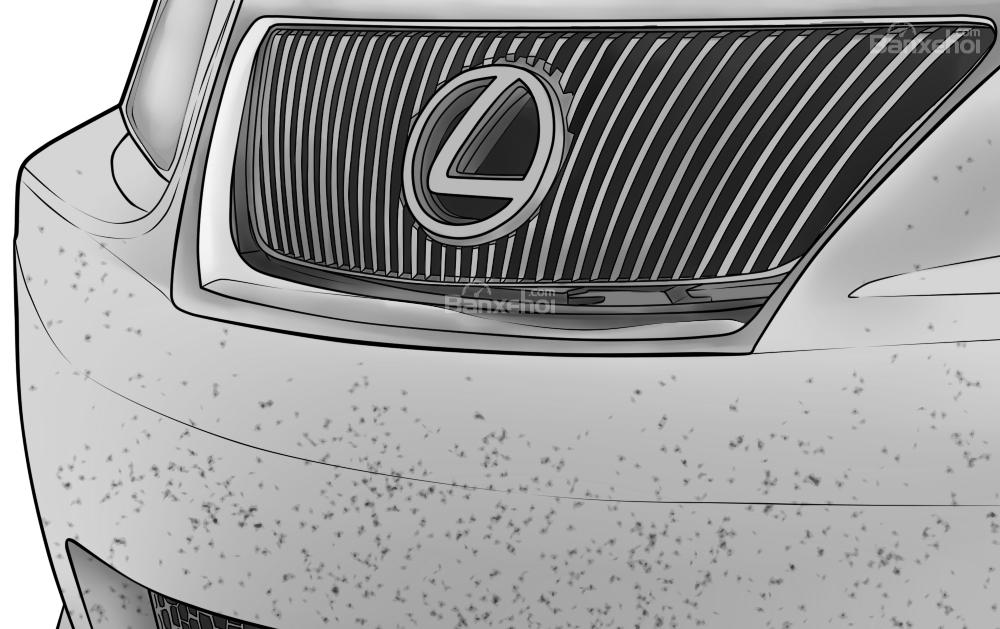 Mẹo loại bỏ côn trùng bám trên xe ô tô